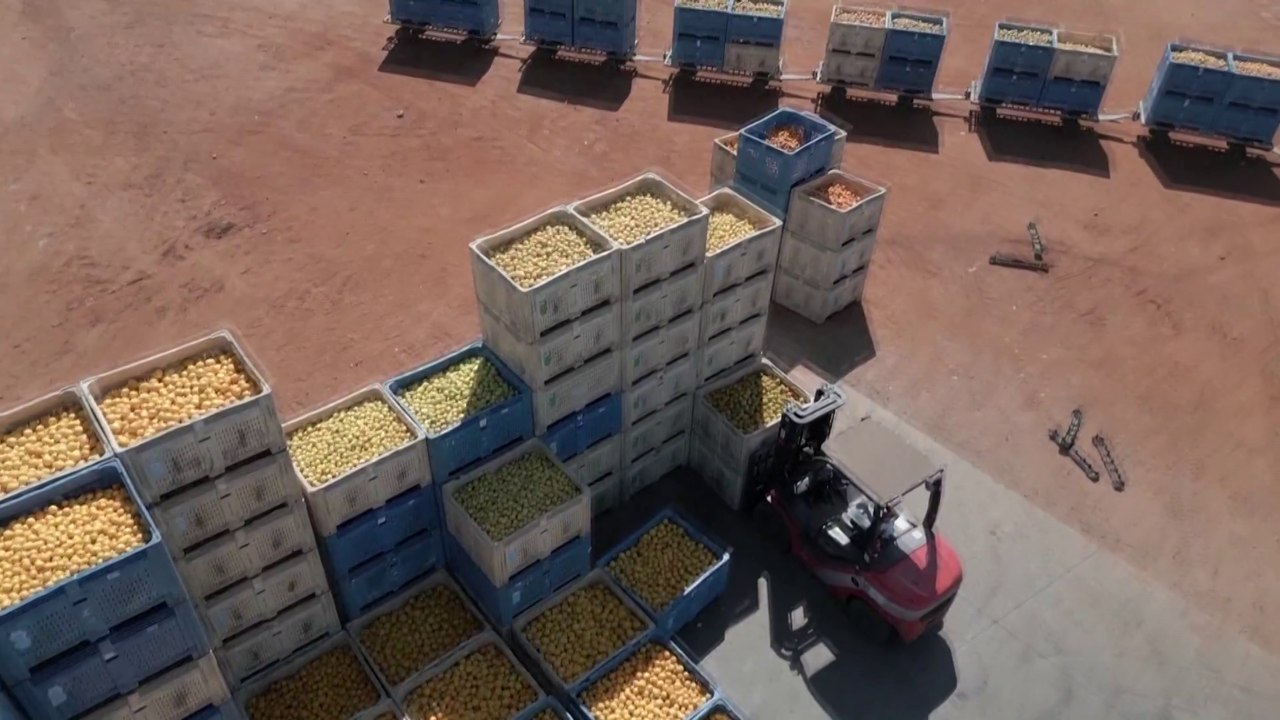 S African fruit exporters face mounting losses due to Middle East conflict