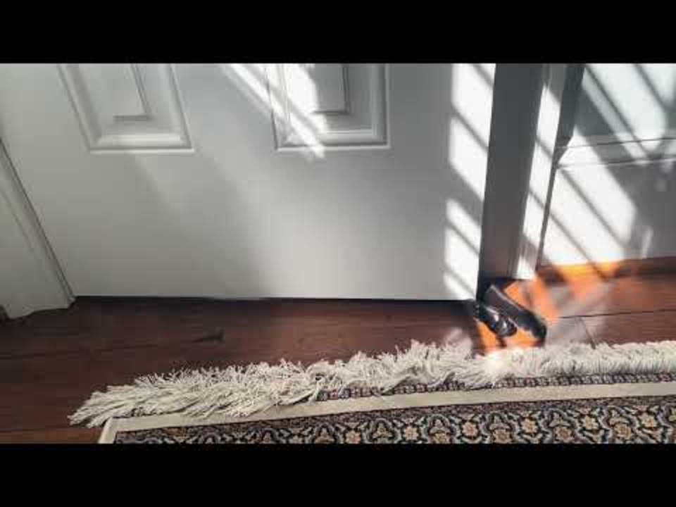 Cat Opens Door to Enter the Room With Owner