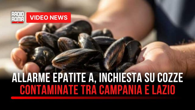 Allarme Epatite A, inchiesta su cozze contaminate tra Campania e Lazio