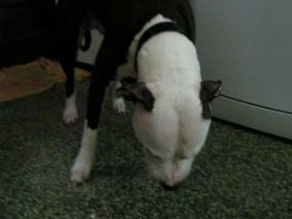 athena a la rage 1ere partie