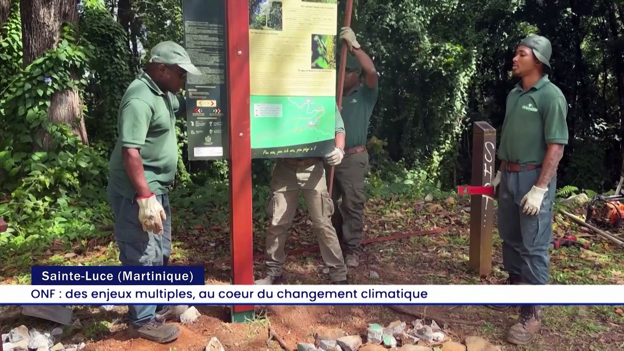 le Grand JT des Territoires