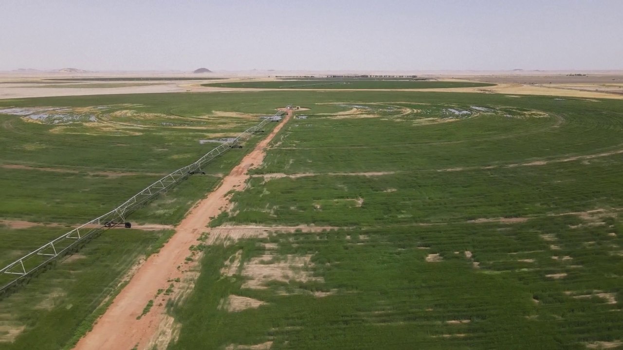 Rising costs of fertilizer threaten Africa's food security
