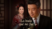 La Boda Que No Fue PelíCula Completa EspañOl Mega