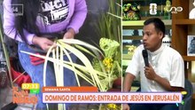 domingo de ramos