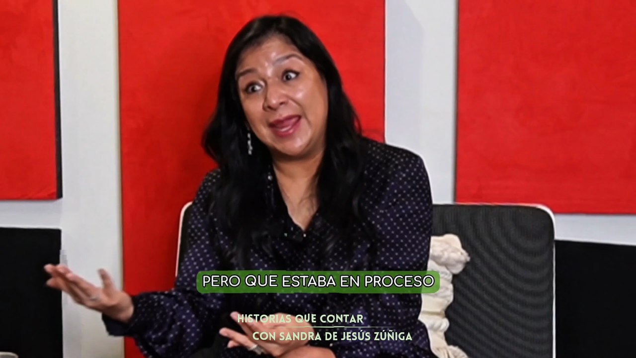 Su primera año como jueza  Sandra de Jesús Zúñiga   #shorts #derechos #reels #politics #dailymotion