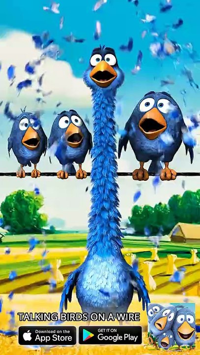 When the energy drink kicks in! ⚡🚀 Talking Birds On A Wire Game