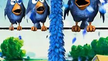 When the energy drink kicks in! ⚡🚀 Talking Birds On A Wire Game