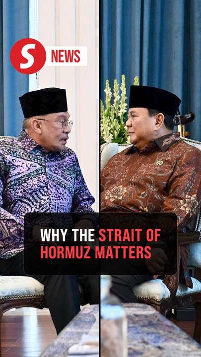 Anwar, Prabowo to step up diplomatic efforts on Middle East crisis