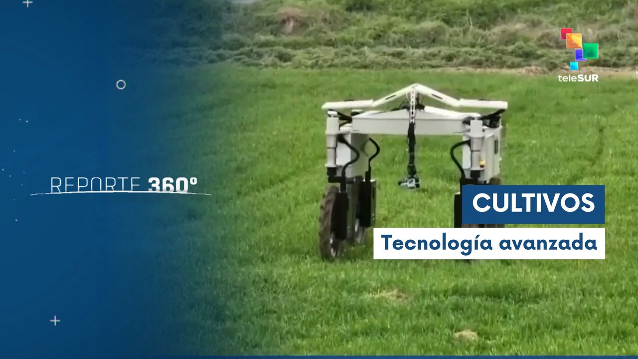 China protege cultivos con tecnología avanzada para agricultores