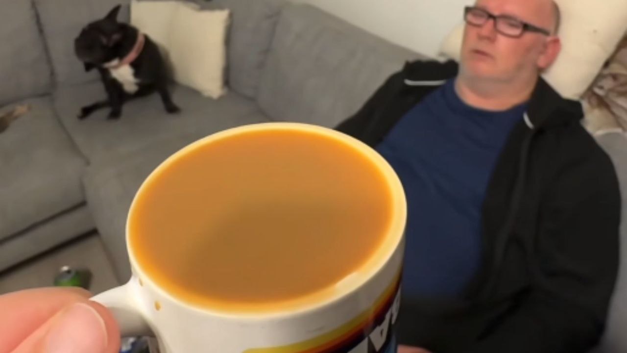 Dad Sips From a Mug and Looks Confused When Little Comes Out
