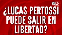 Giro en la causa por el crimen de Fernando Báez Sosa: ¿Pertossi puede salir en libertad?
