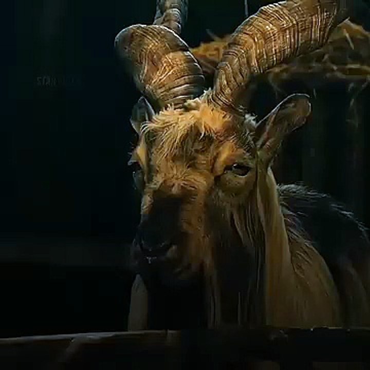 CROOKED GOAT ☠️🐐 IN KINGS MAN #hollywood #trollface #edit #shorts (360p_30fps_H264-128kbit_AAC)
