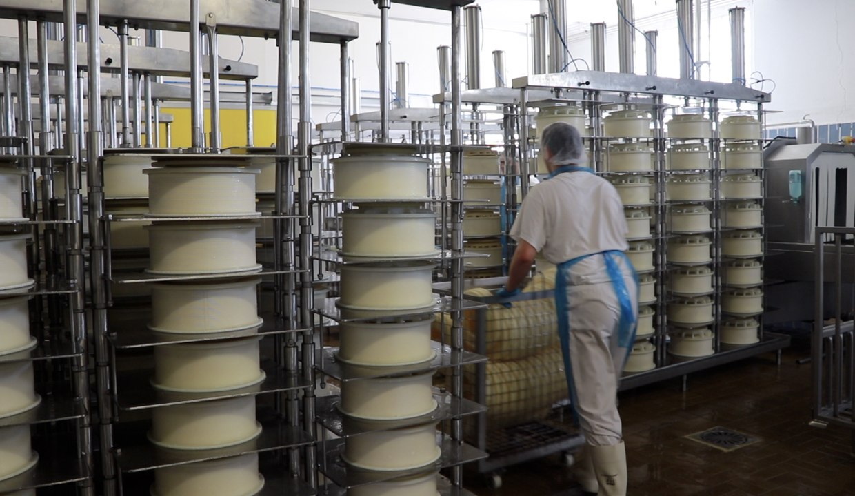 L'Abbaye de Vergaville, un savoir-faire fromager depuis 1938