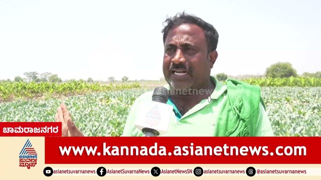 ರೈತರಿಗೆ ಯುದ್ಧದ ಬಿಸಿ; ಹೊಲದಲ್ಲೇ ಉಳಿದ ಬೆಳೆದ ಬೆಳೆ | Chamarajanagar | Middle East War Impact On Farmers