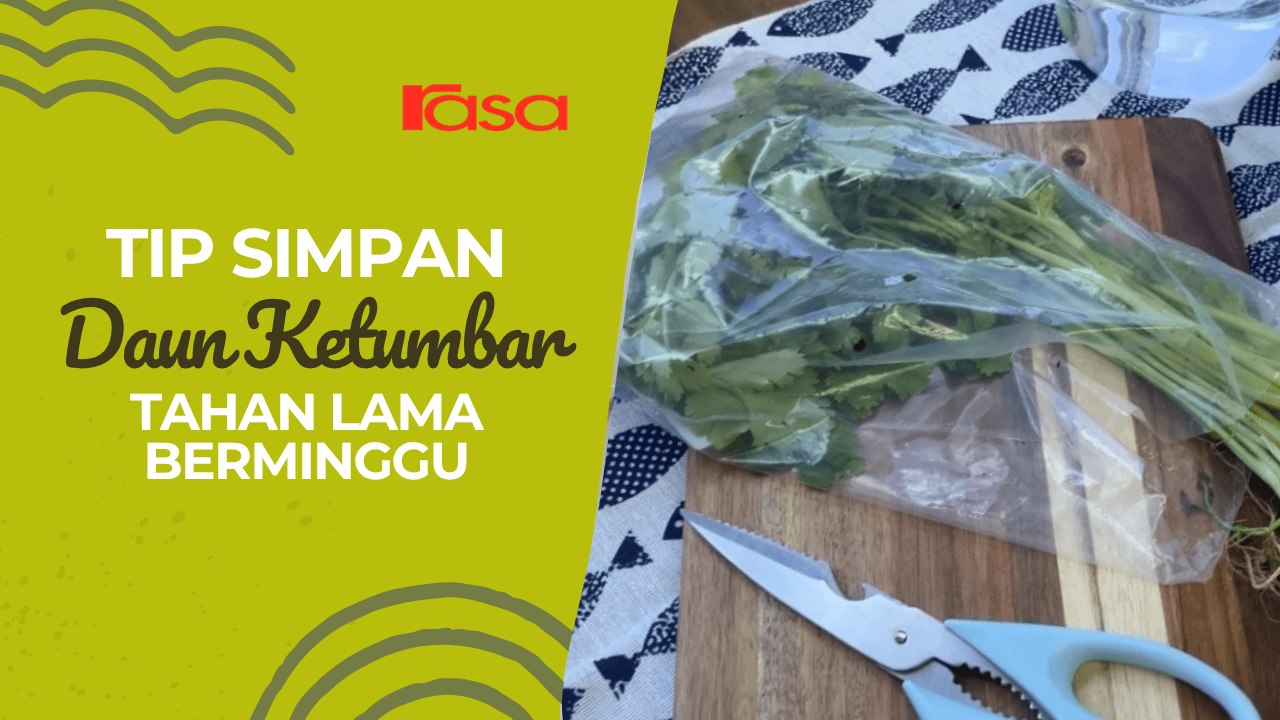 Tip Simpan Daun Ketumbar Tahan Lama Berminggu!