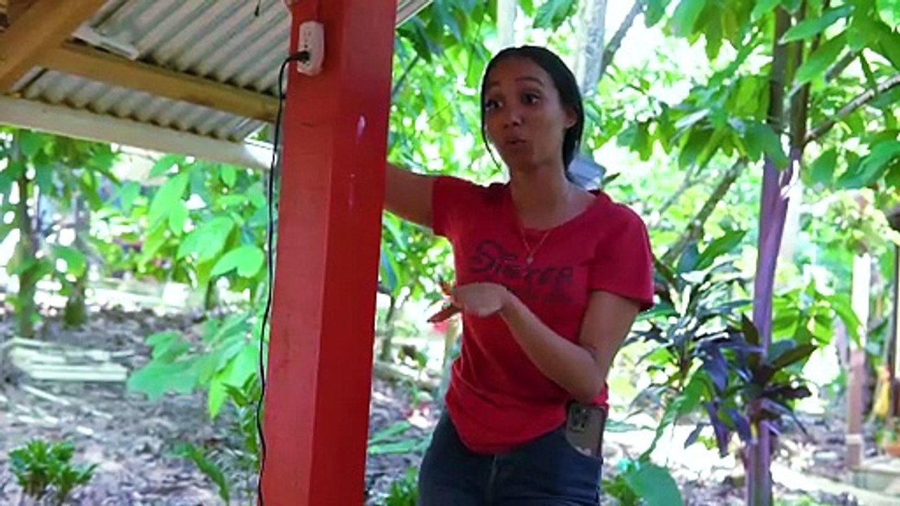 Compraban la comida para no cocinar sin saber que pasaria esto
