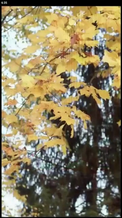 Choose me forever and only