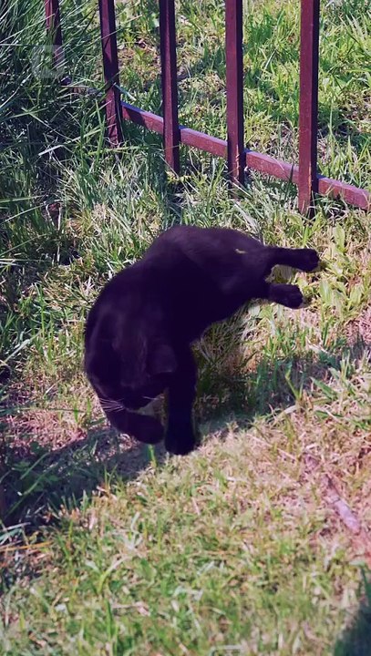 Above All Limits Drama English Sub Full Movie [ New Releases 2026]