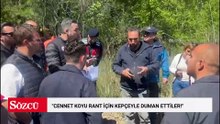 Göcek'te doğa katliamı: Cennet koyu rant için kepçeyle duman ettiler!