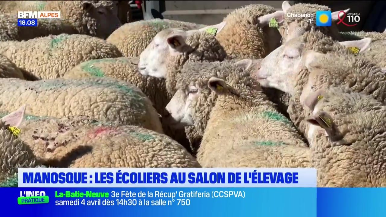 Le journal de 18h du vendredi 27 mars 2026