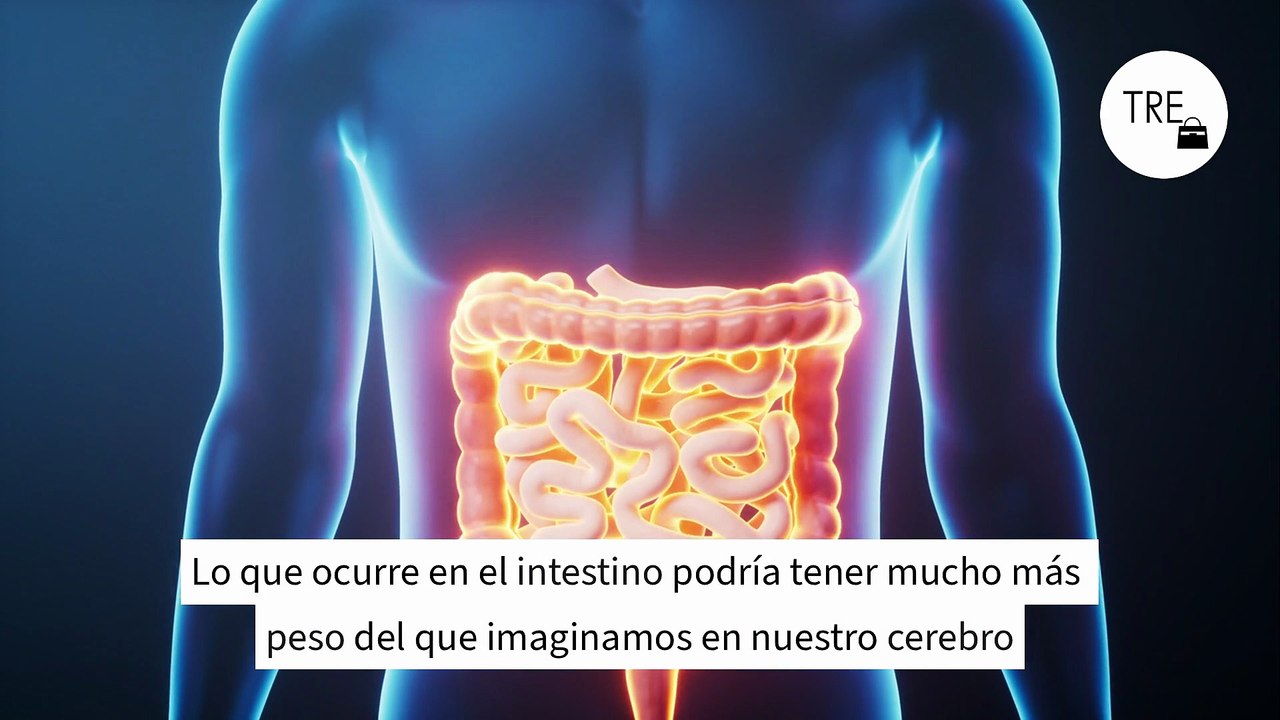 El vínculo intestino-cerebro: así influye el microbioma en la memoria, según la ciencia