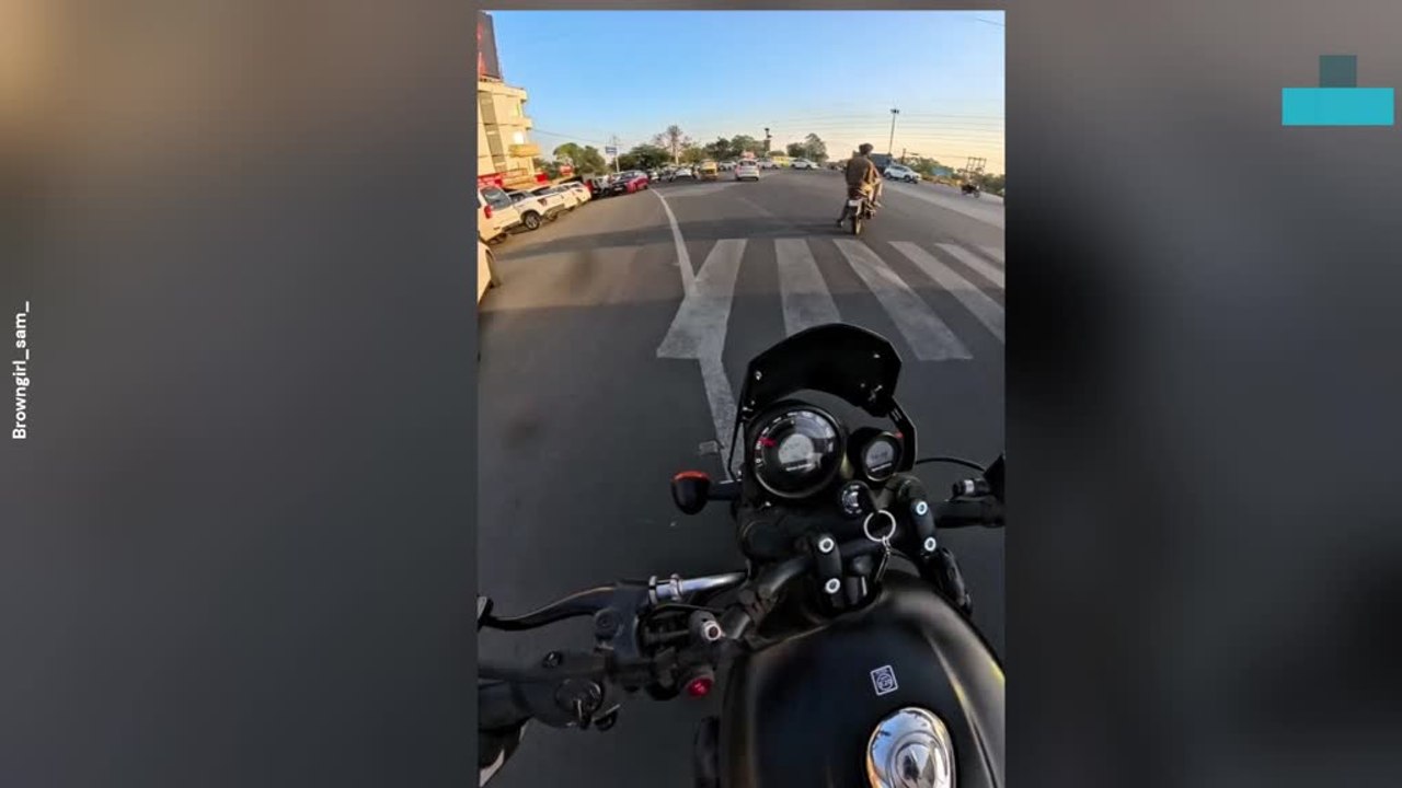 Woman Rescues Puppies From Busy Road