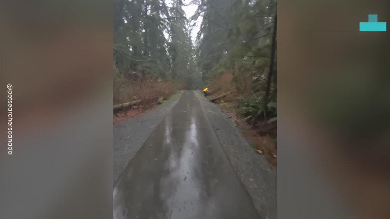 Thermal Drone Rescues Lost Dog Duke After Two Days in Storm