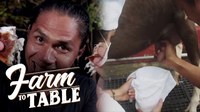 Chef JR’s GOOEY Grilled Cheese Sandwich is NEXT LEVEL! | Farm to Table