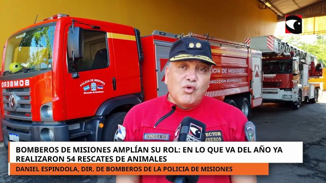 En lo que va del año los bomberos realizaron 54 rescates de animales