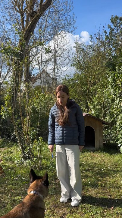 Oui c’est un chien sensible mais si tu le veux ce petit Malou, il faudra le mériter. Je te le dis direct, ta vie sera sportive 😎🐕🏃‍♀️