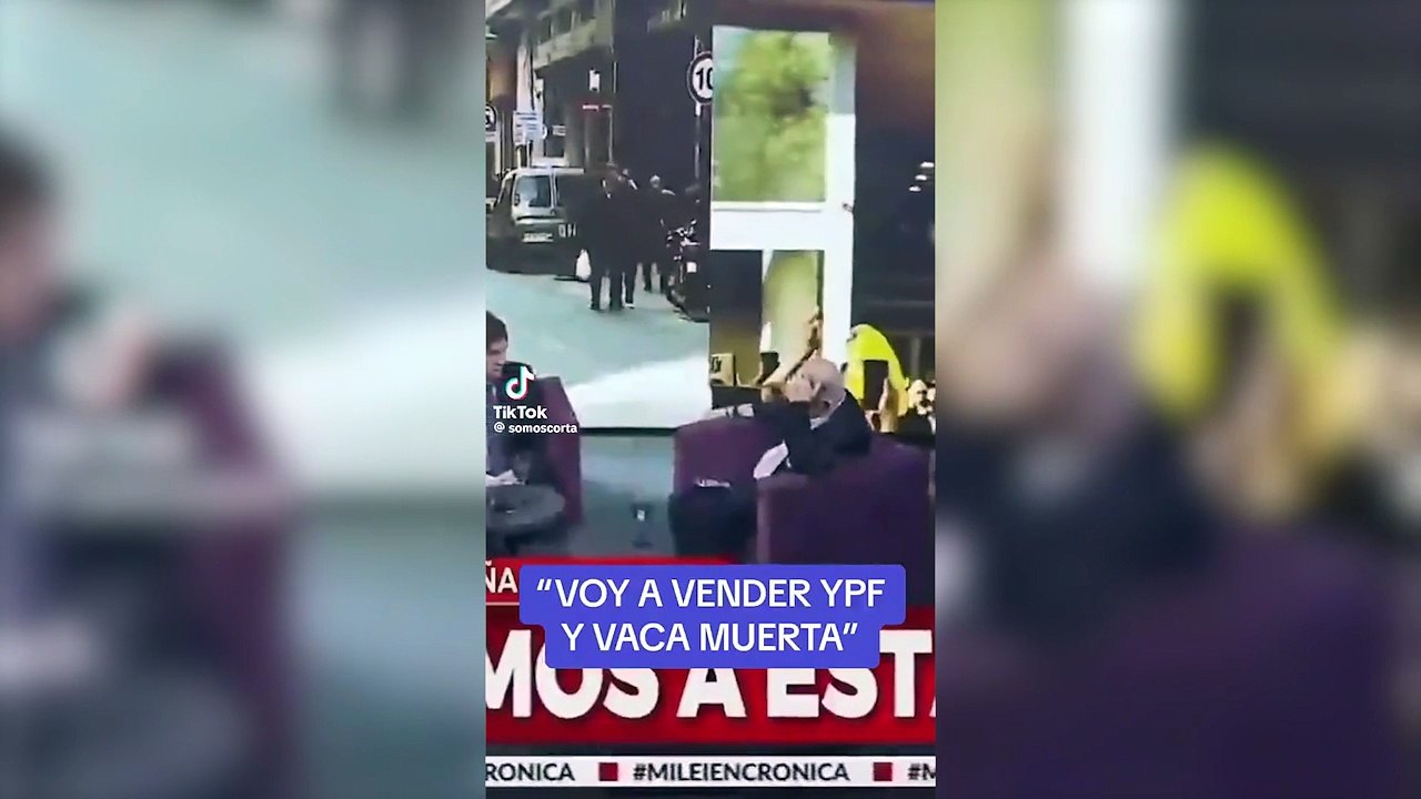 Javier Milei: "Voy a vender YPF y Vaca Muerta, ¿Cuál es el problema?"