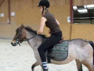 perle poney aurélie