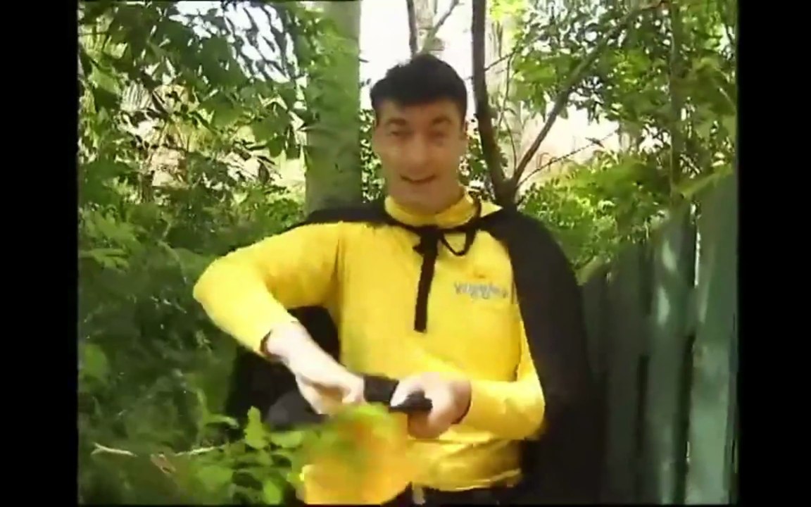 The Wiggles You Might Like A Pet 2002...mp4