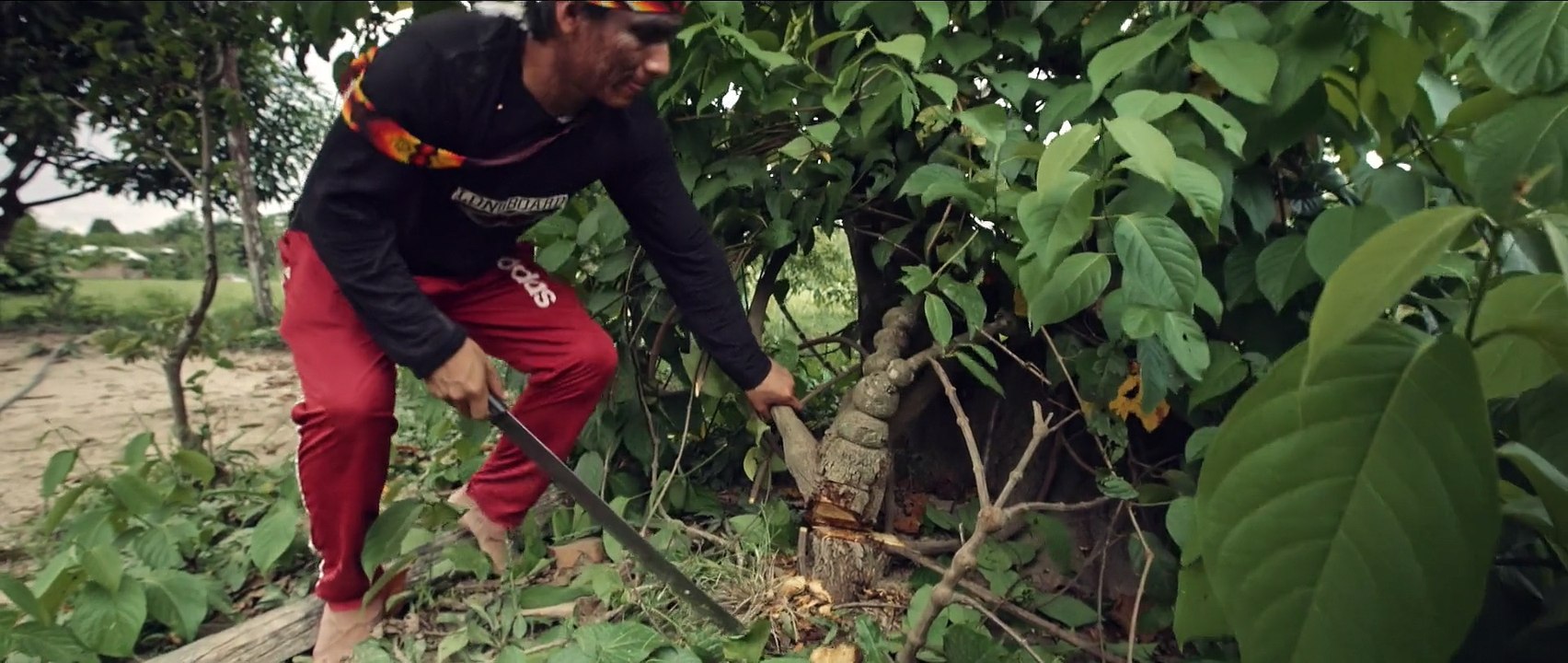 Ayahuasca - Expansão da Consciência (2018)