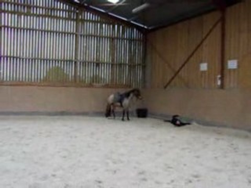 Stephanie et perle