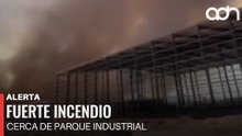 🚨¡Última Hora! Fuerte incendio de pastizal en Villa de Reyes, San Luis Potosí