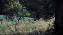 Un conte Films Complets en Français