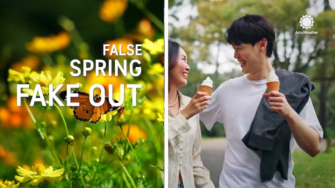 The forecast fake out