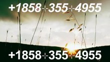 !!~OFFICIAL~!!!!Complete™ List of coinbaseⓃ CUSTOMER© Care℗ (Help Desk Number Support) Numbers A Complete Guide