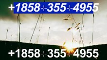 『Coinbase CUSTOMER®』 SERVICE© CARE℗ NUMBERS TOLL FREE NUMBER: Easy Step by Step Guide