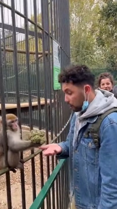 La nature réserve parfois des moments improbables 🤣