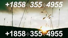 !!~OFFICIAL~!!!!Complete™ List of coinbaseⓃ CUSTOMER© Care℗ (Help Desk Number Support) Numbers A Complete Guide