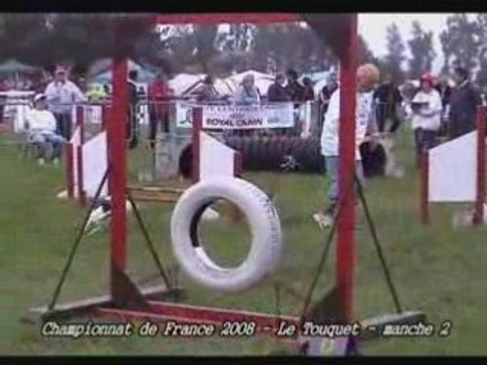 Championnat de France 2008 d'Agility  Un Michoko