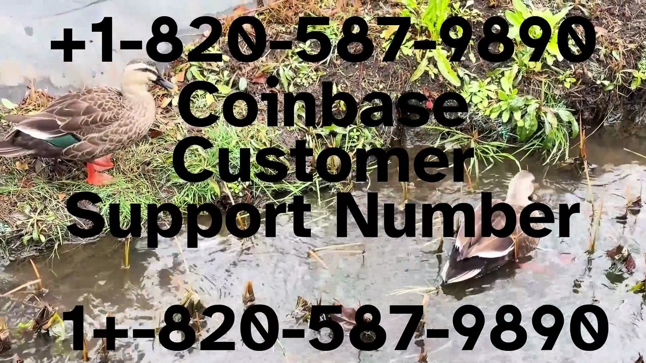 ≋[FULL GUIDE] Complete™ List of coinbaseⓃ CUSTOMER© WALLET© Care℗ (Toll Free Number Support) Numbers A Complete Guide