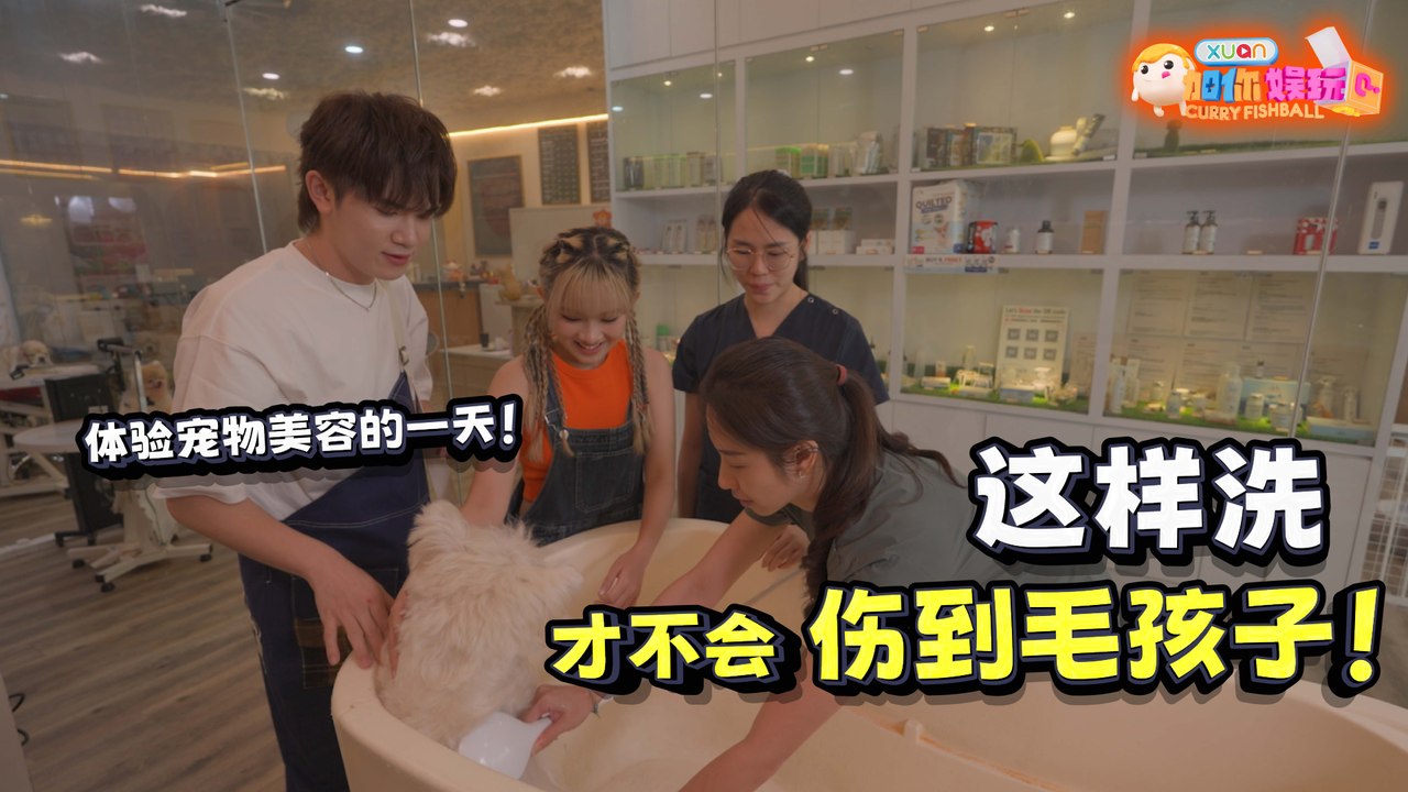 【娱玩任务站】 为“毛孩子”洗澡的正确手法！Hayden & Jenn 体验宠物美容惨被“水炸弹”袭击！
