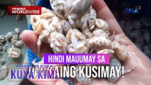 'Kusimay' na paboritong kinakain ng mga taga-Ilocos Norte, tikman! | Dami Mong Alam, Kuya Kim!