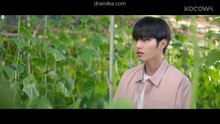 Cabbage Your Life Kdrama Episode 1 Eng Sub . CABBAGE Your Life Ep 1 English Subtitles