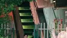 抖音新剧上线#摊牌了，前夫哥的福气在后头 (下)
