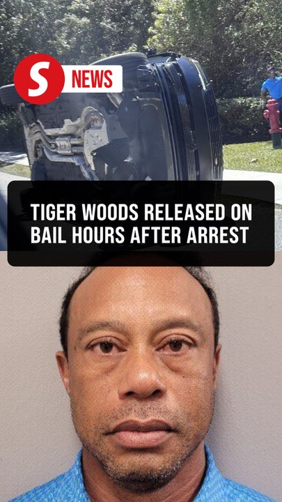Golf-Tiger Woods arrested on DUI charge after Florida car crash