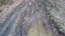Trikala xristos